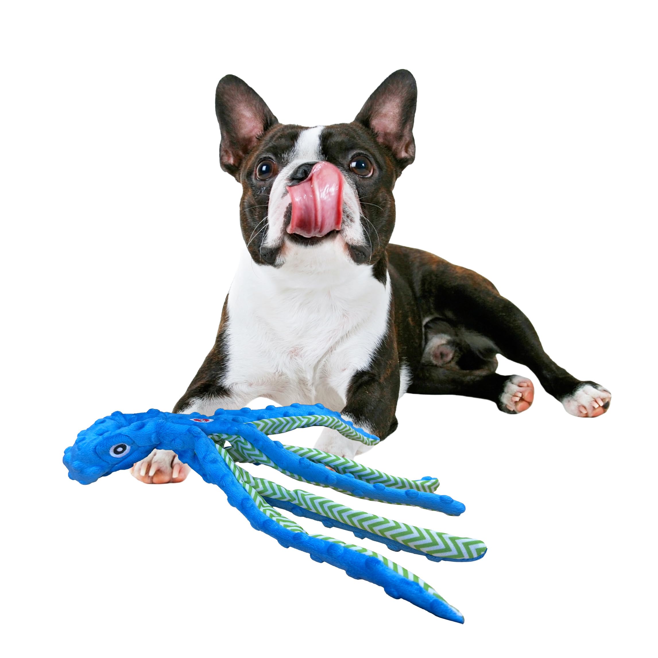 DOGTOWN81('81米) Pet Supplies : SPOT Skinneeez Extreme Octopus Dog Toy – 16