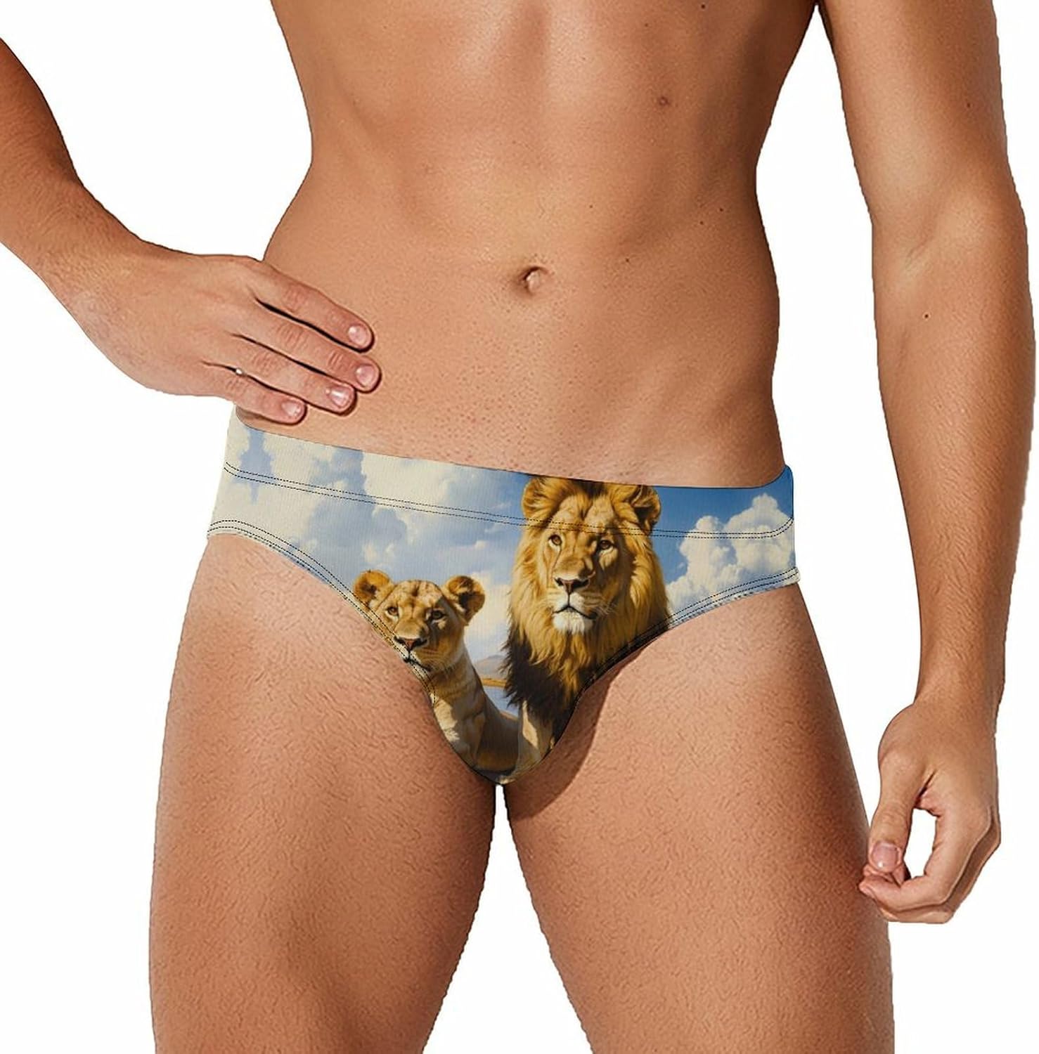 Lioness Love Printed Men's Swimsuit Brief Sexy Bikini Briefs Retro Printed Swimwear Quick Dry Swimming Trunks 3X-Large