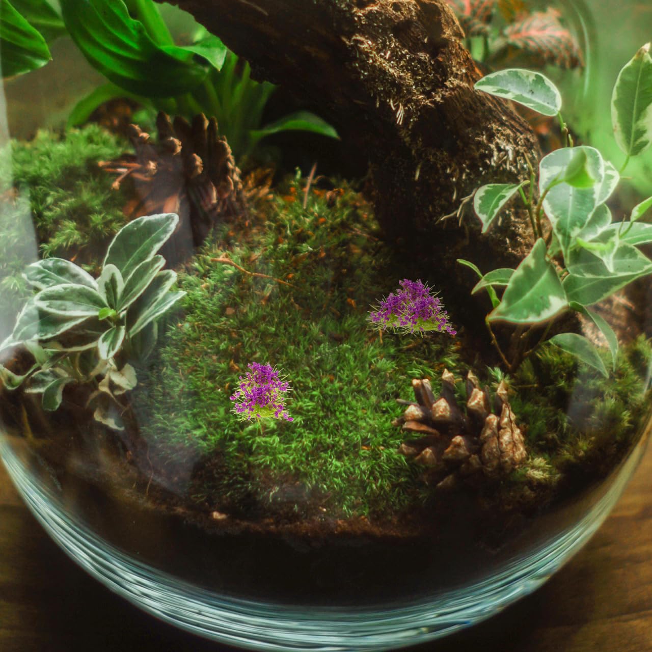 EXCEART War World Scenics Gras Gaming Base Blumen Grasbüschel Modellbau Tabletop Gelände Statische Grasbüschel Geländebau Miniatur Ornamente Eisenbahn Modellbahn Landschaftsbau Diorama Zubehör - 4