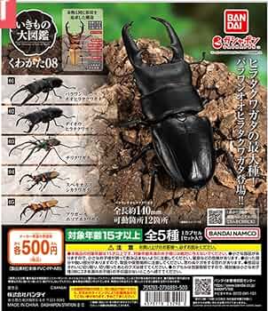 クワガタ様リクエスト商品 71xenvNhnIL._UF350,350_QL50_.jpg