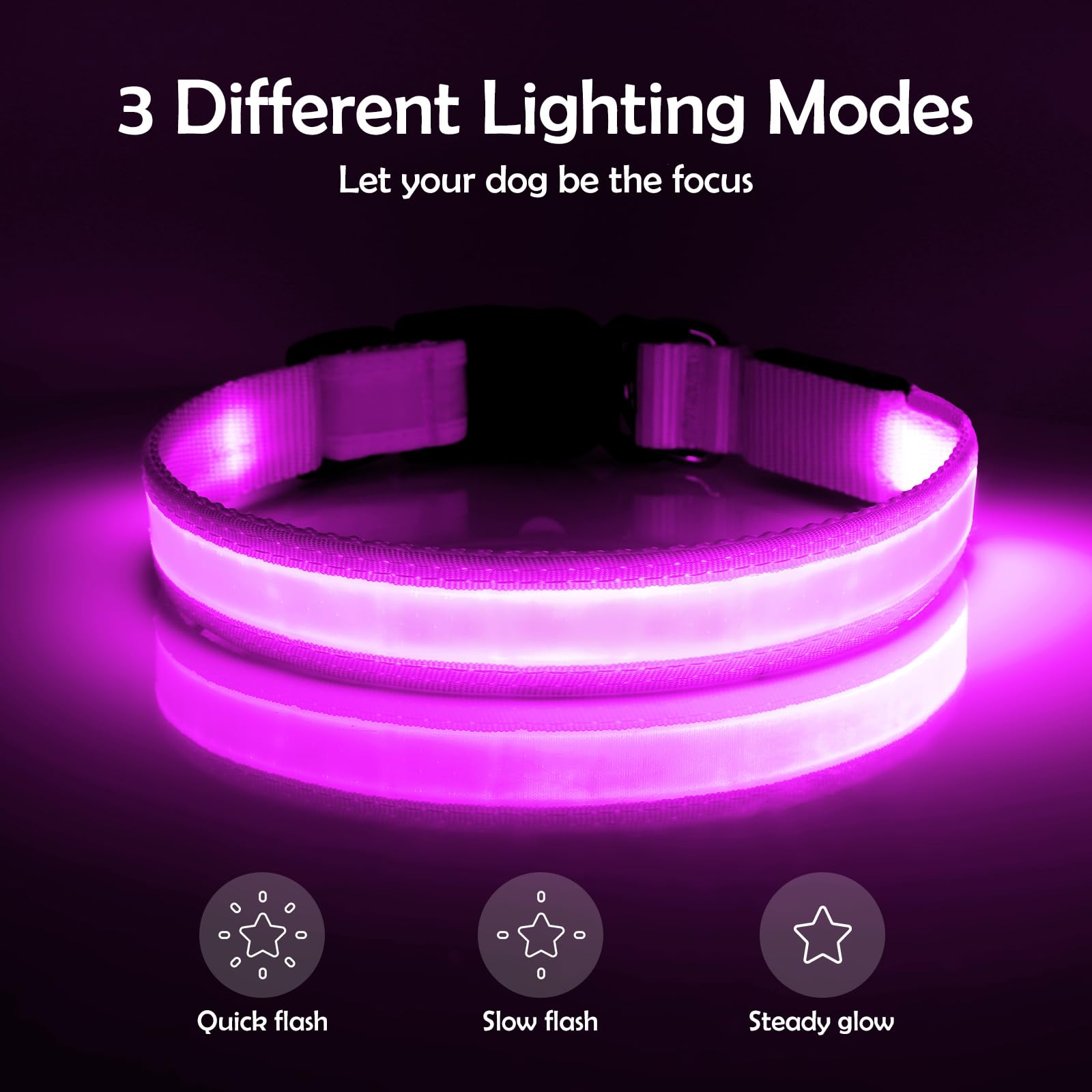 VIZPET Collare per cani a LED, regolabile, ricaricabile tramite USB, super luminoso, di sicurezza, per cani (viola, M [38-50 cm)