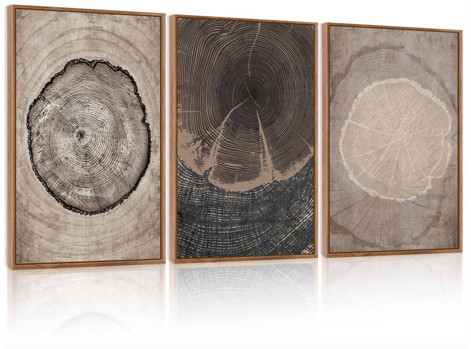 CHDITB Beige Tree Ring Framed Canvas Wall Art Set, Modern Wood Stump Wall Decor, Abstract Black and White Wall Painting, Neutral Nature Art Print for Living Room, Bedroom, Office - 16"x24"x3