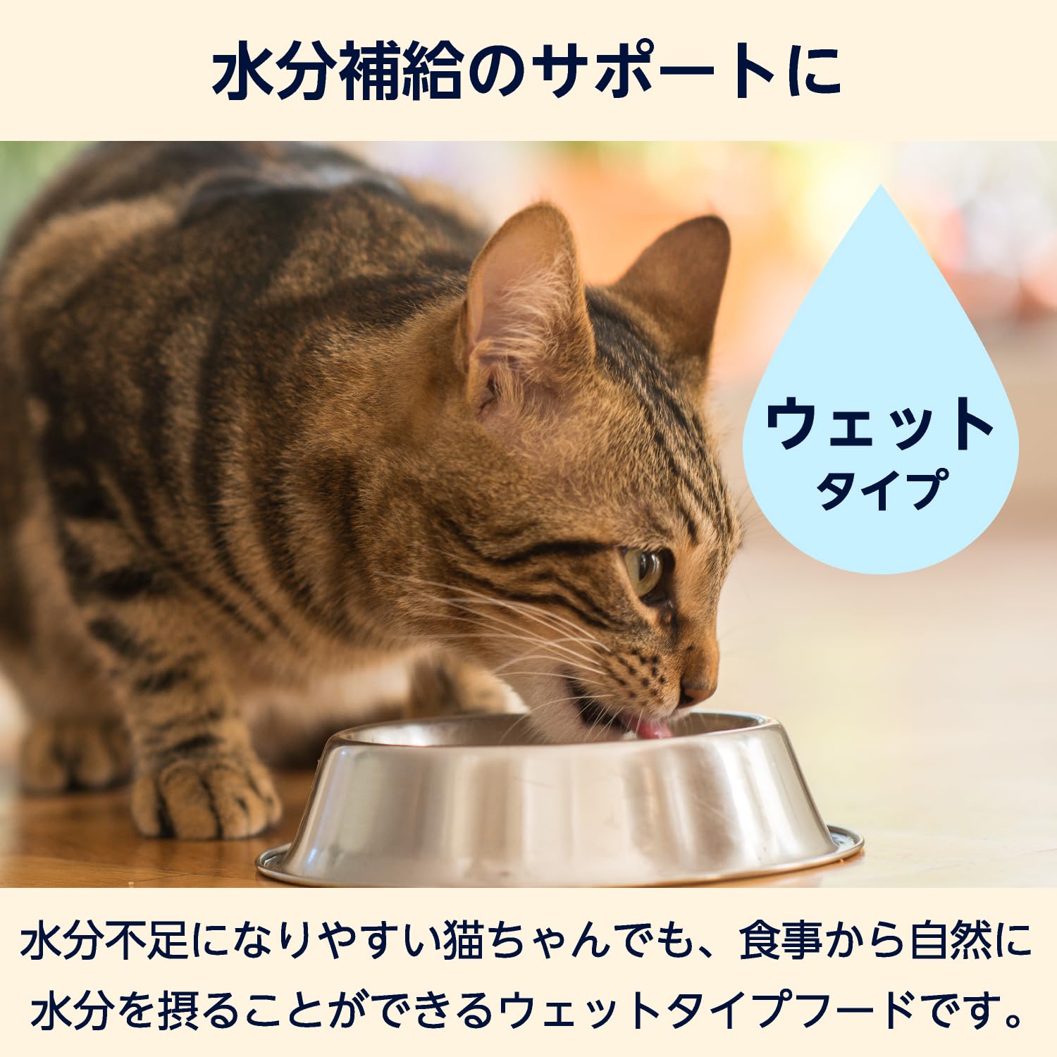 Amazon.co.jp: by Amazon キャットフード ウェット パウチ 成猫用 一般