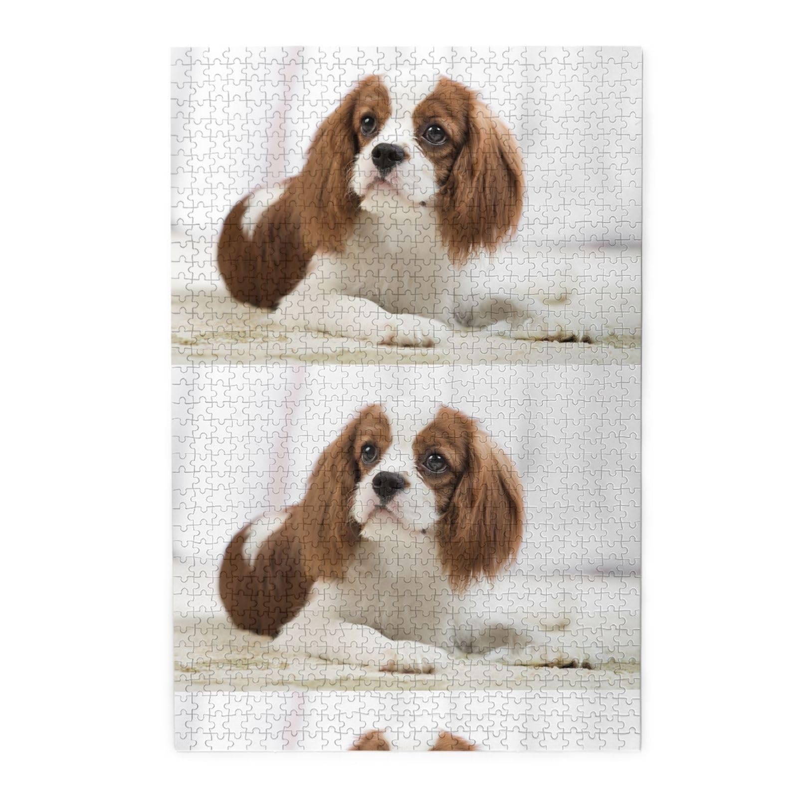 Cavalier King Charles Spaniel Spaniel Marrone, Puzzle da 1000 pezzi per adulti, Puzzle impegnativi, Puzzle a incastro