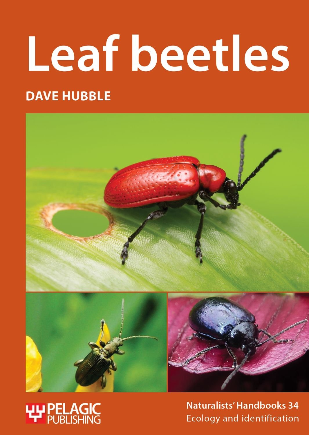 Leaf Beetles (Naturalists Handbooks): 34