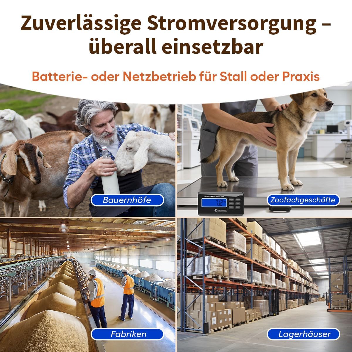 Adamson Tierwaage 500 kg – Digitale Plattformwaage & Hundewaage für große Hunde, Schafe, Ziegen & Schweine – Präzise Viehwaage mit Tare, Hold & PCS – Batteriebetrieb oder Netzteil
