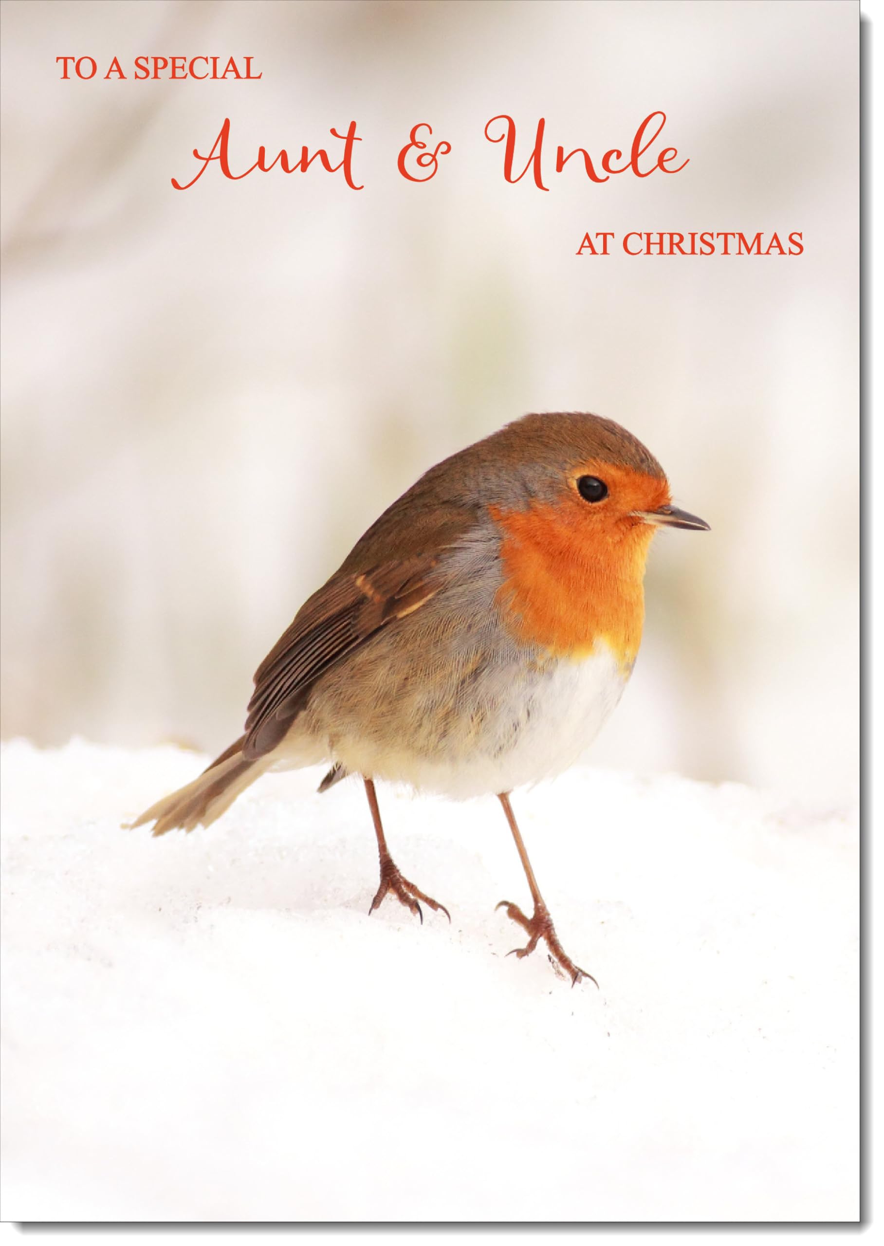 doodlecards Aunt and Uncle Christmas Card Robin on Snow Large A4 Size Christmas Card for Aunt & Uncle with Plain Envelope — image 1