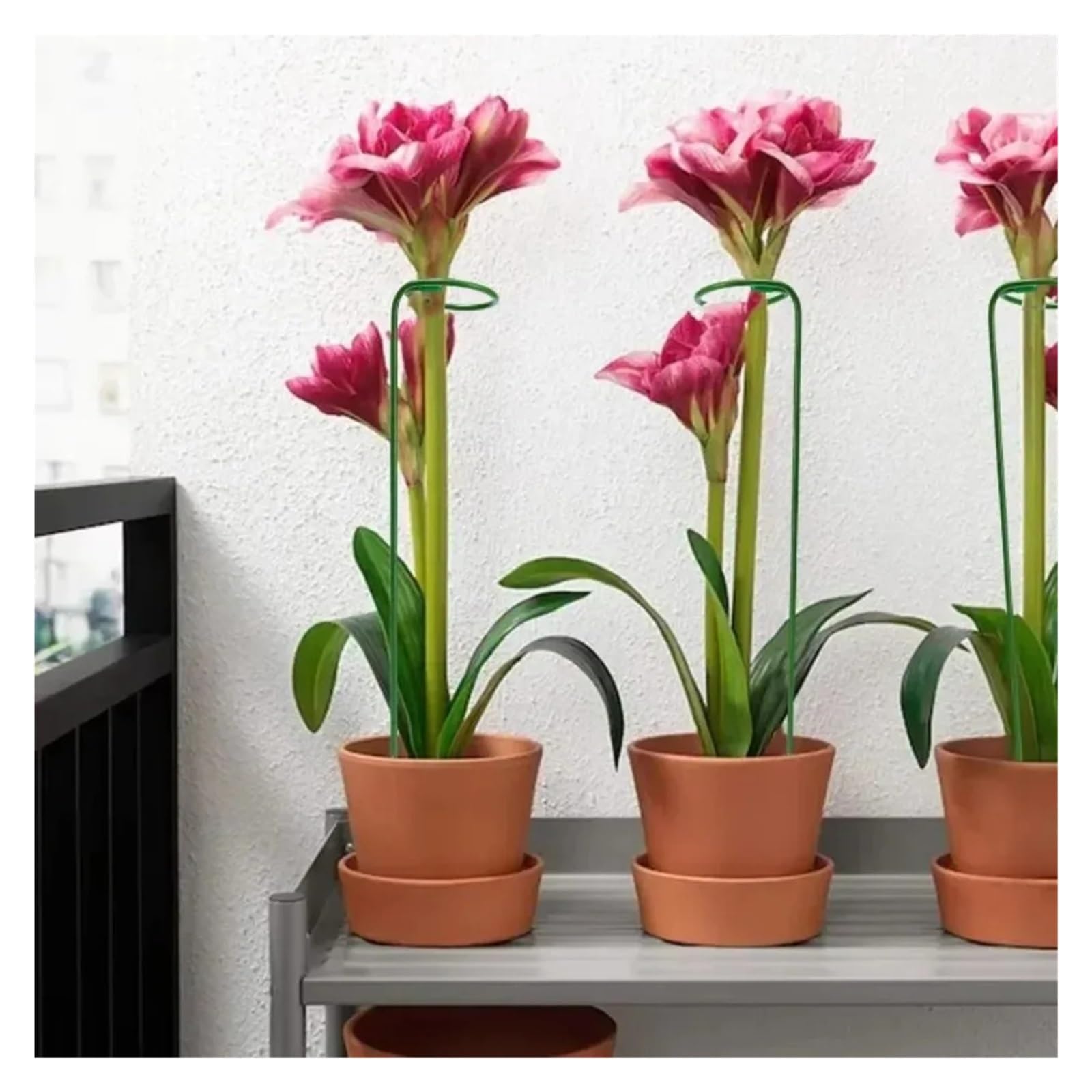 Tuteurs Pour Plantes Piquets de support for plantes de jardin vert
