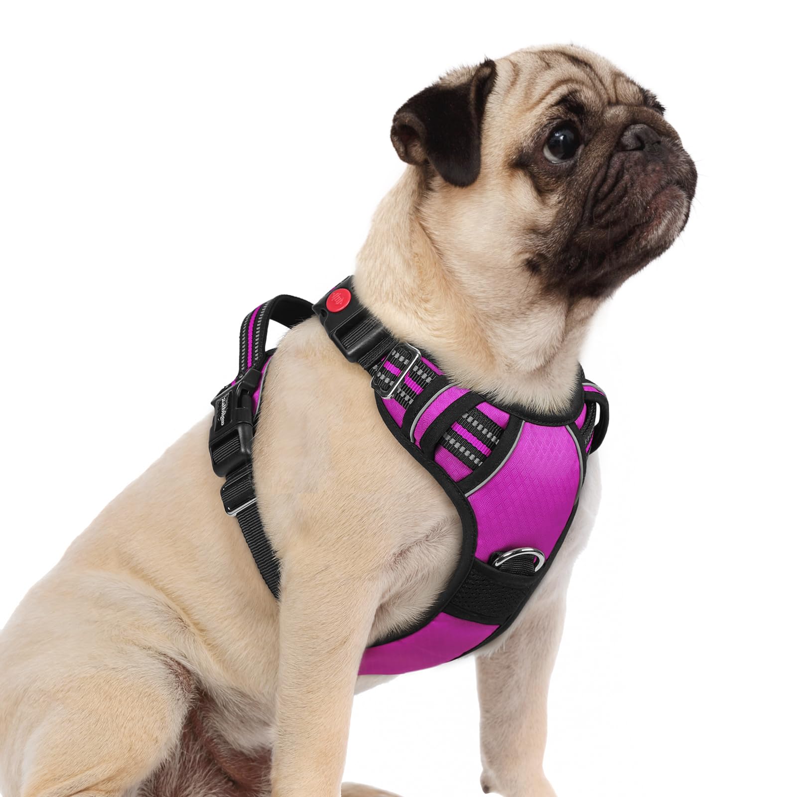 rabbitgoo No Pull Dog Harness