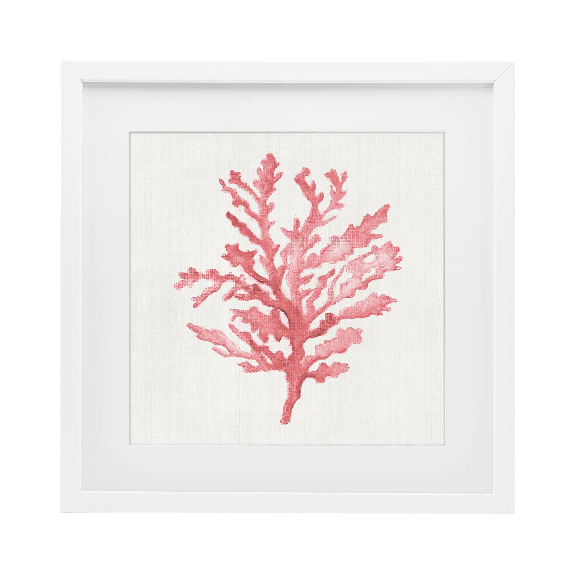 Stupell Industries Coastal White (Textured) 'Rosy Pink Coral Branch'| Framed Print Under Glass