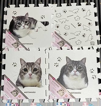 ねこまる様 I ignored the spoiled cat and slept until noon, and this