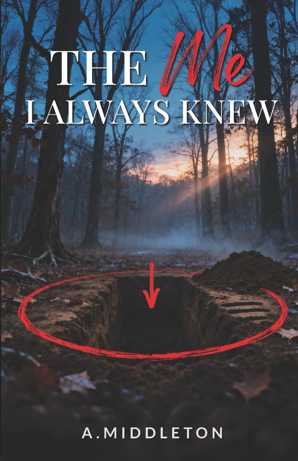 The Me I Always Knew (The Me I Never Knew Series)