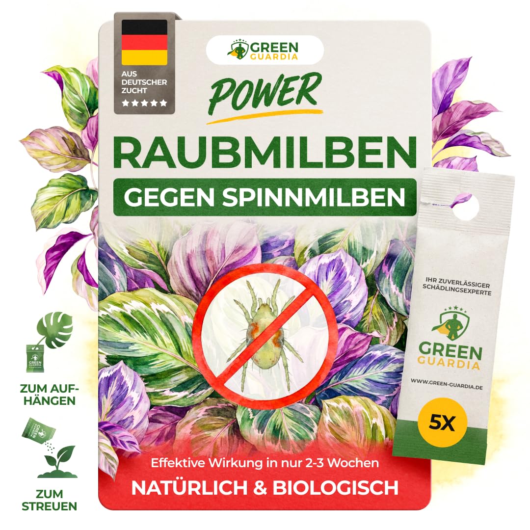 GREEN GUARDIA Power Raubmilben gegen Thripse und Spinnmilben – Biologisches Mittel zur effektiven Thripse Bekämpfung, Spinnmilben Bekämpfung – chemiefreie Mittel