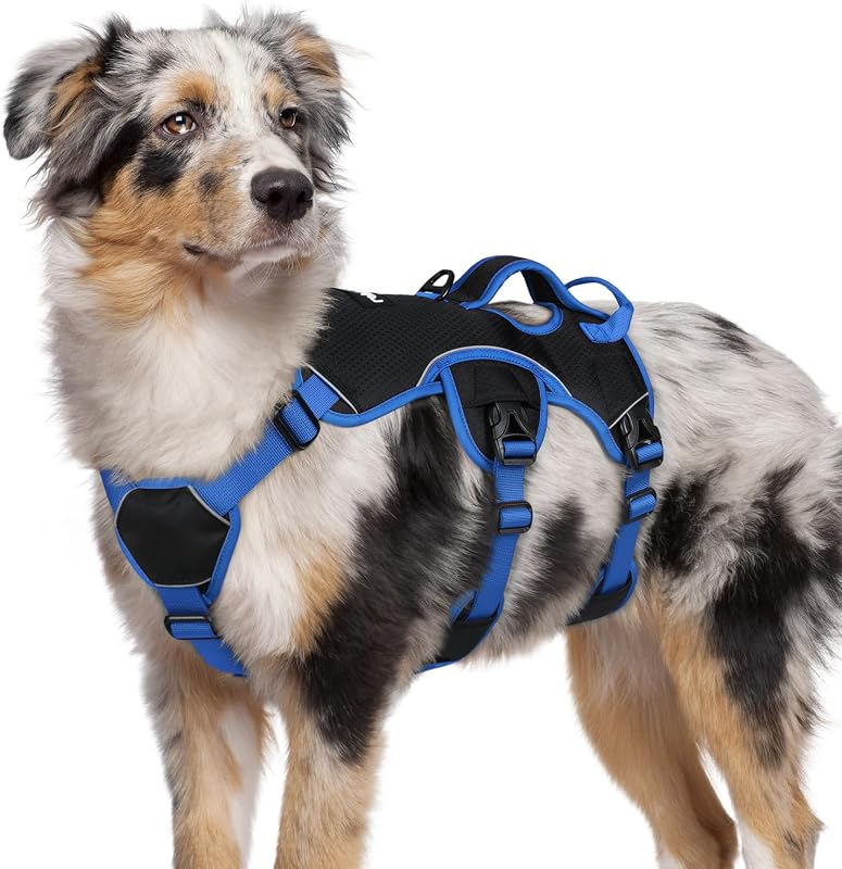 Peitoral Vest rabbitgoo para Cães Médios com Alça de Controle e Ajuste Antifuga