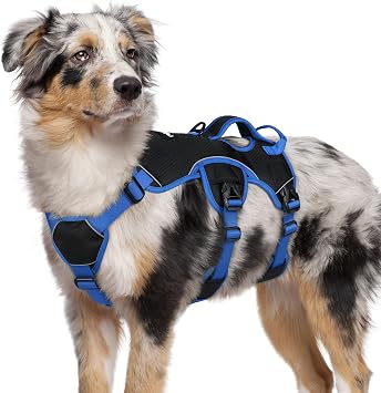 rabbitgoo Escape Proof Dog Harness for Medium, No Pull with Lift Handle
