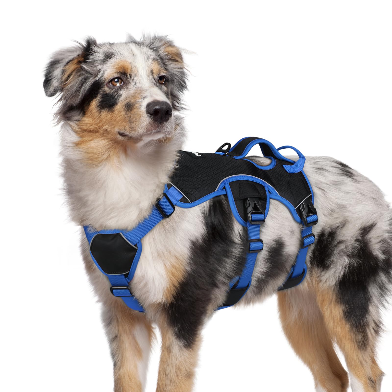 rabbitgoo Escape-Proof Dog Harness Medium with Large Handle, Anti-Pull Reflective Working Service Pets Vest, Breathable Pets Vest, Adjustable Lift Support Harness Large Dogs Outdoor, M, Blue & Black