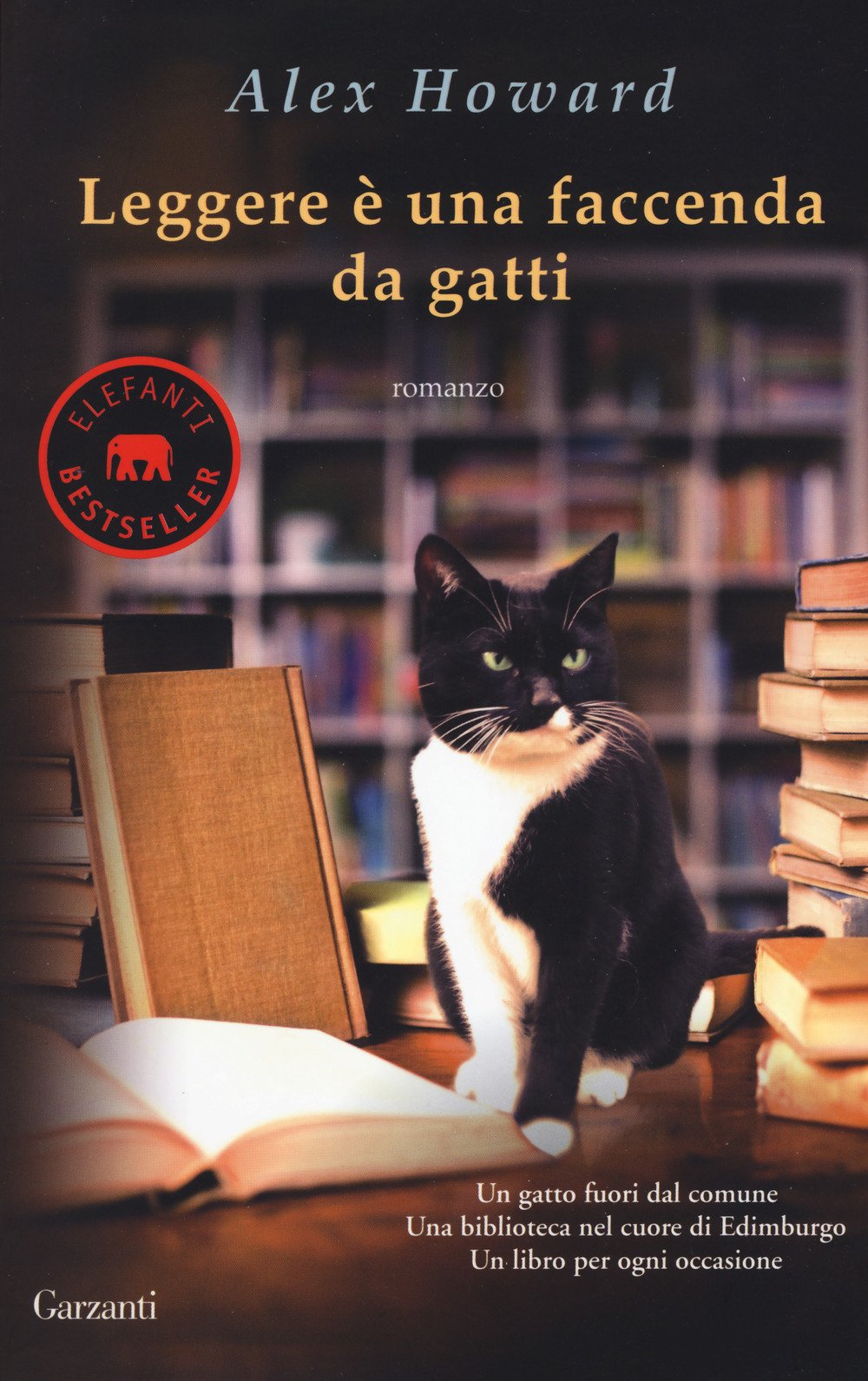 Leggere è Una Faccenda Da Gatti - 4