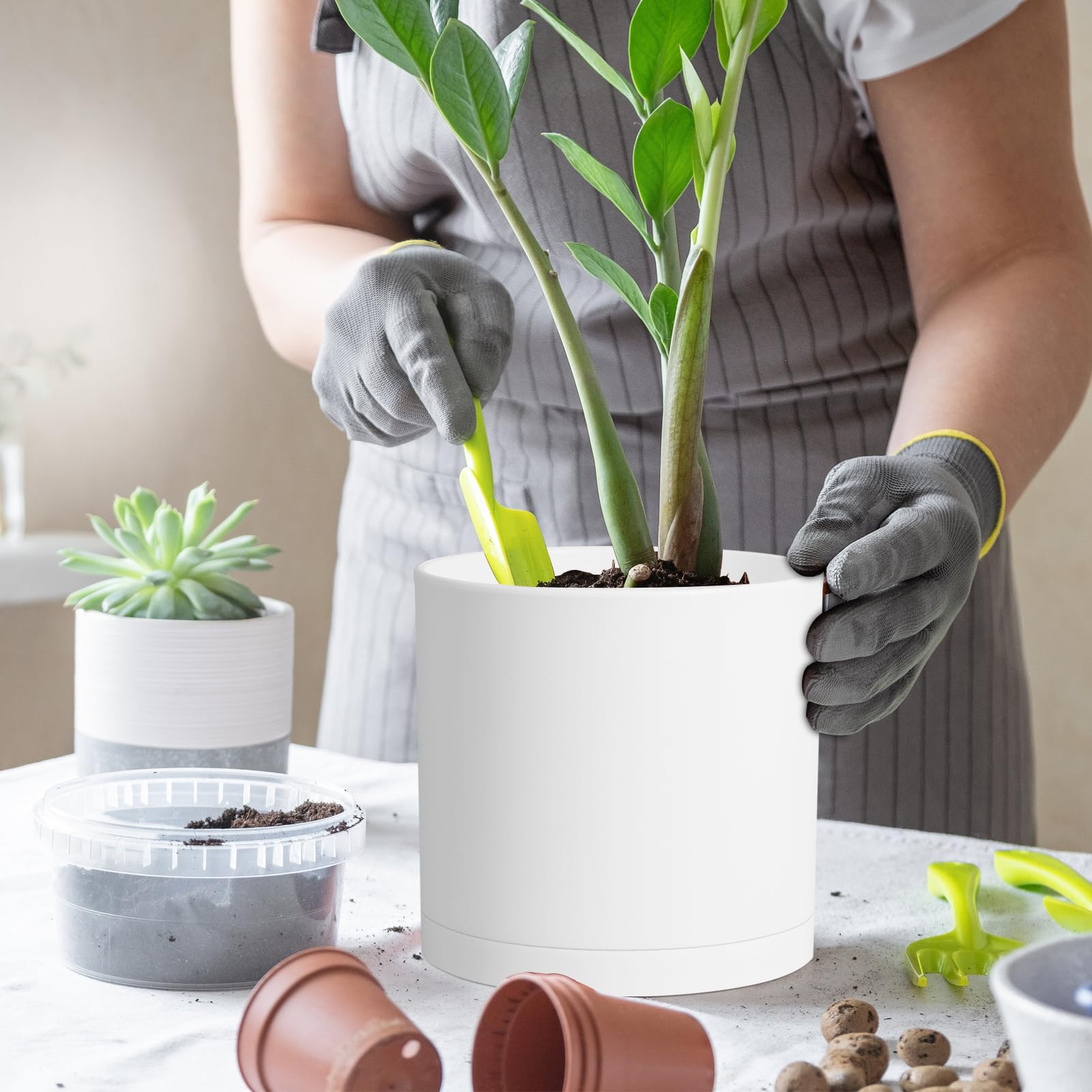 鉢・プランター neighborhood SRL CYLINDER TYPE PLANT POT Amazon.com: WSMKSZ 8 Inch Cylinder Plant Pots for Indoor Outdoor