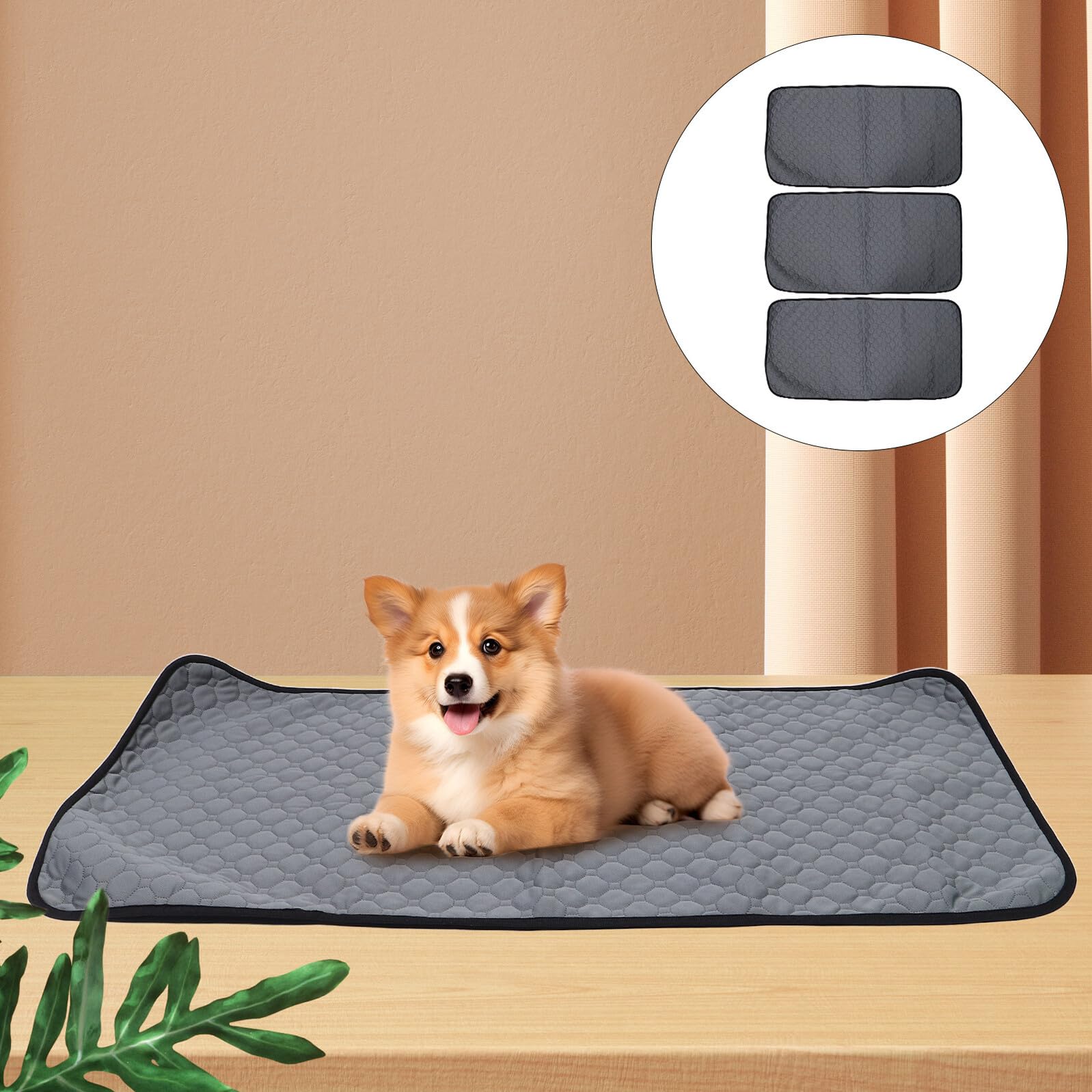 HEMOTON 3piezas Almohadillas para Orinar para Mascotas Empapadores Absorbentes Lavables para Entrenamiento de Cachorros Empapador Reutilizable para Perros