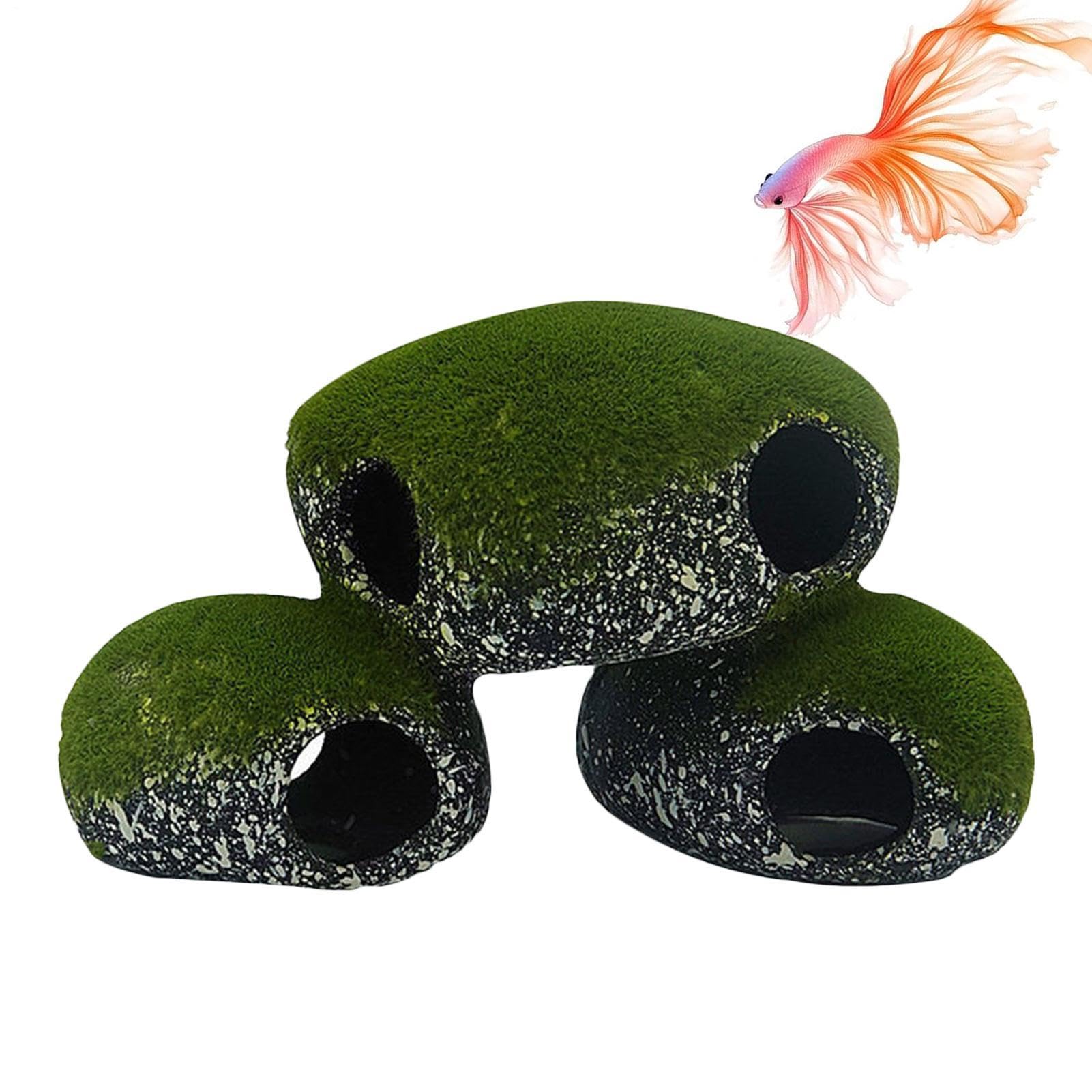 Fish Tank Cave Shelter Realistic with Moss