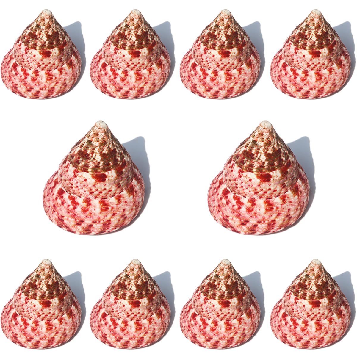 YKMYXZ shells， 10Pcs Red Tower Snail for Wedding Decor Beach Theme Party, Home Decorations