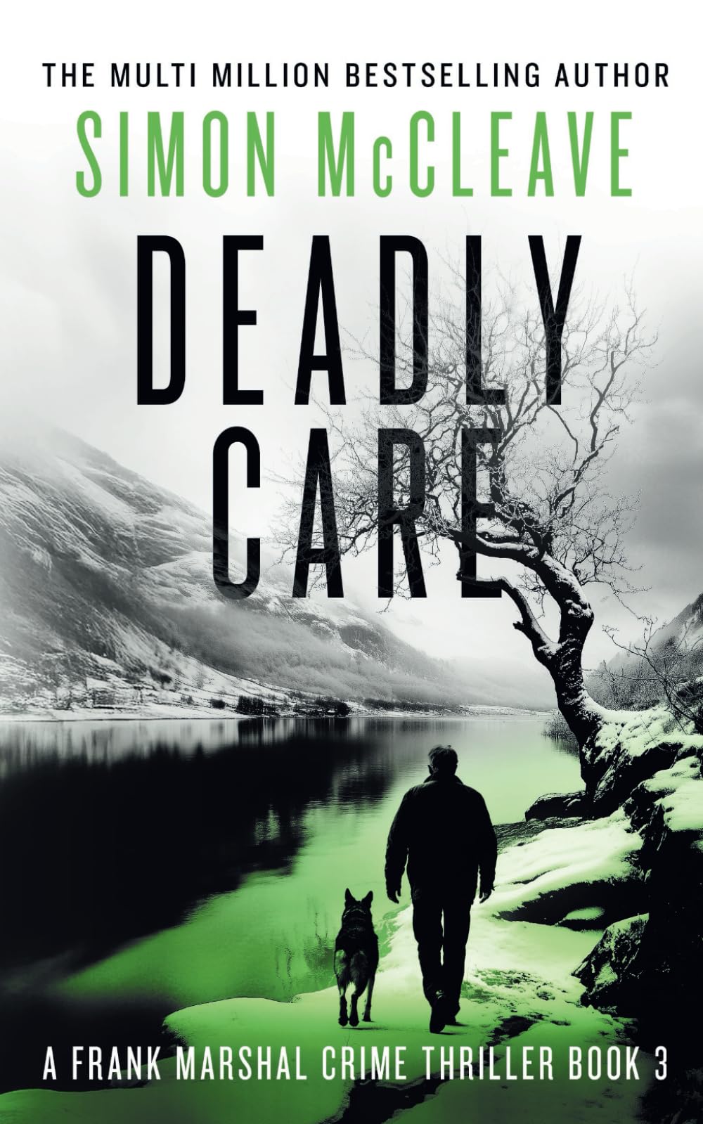 Deadly Care: A Frank Marshal Crime Thriller Book 3 (Marshal of Snowdonia)