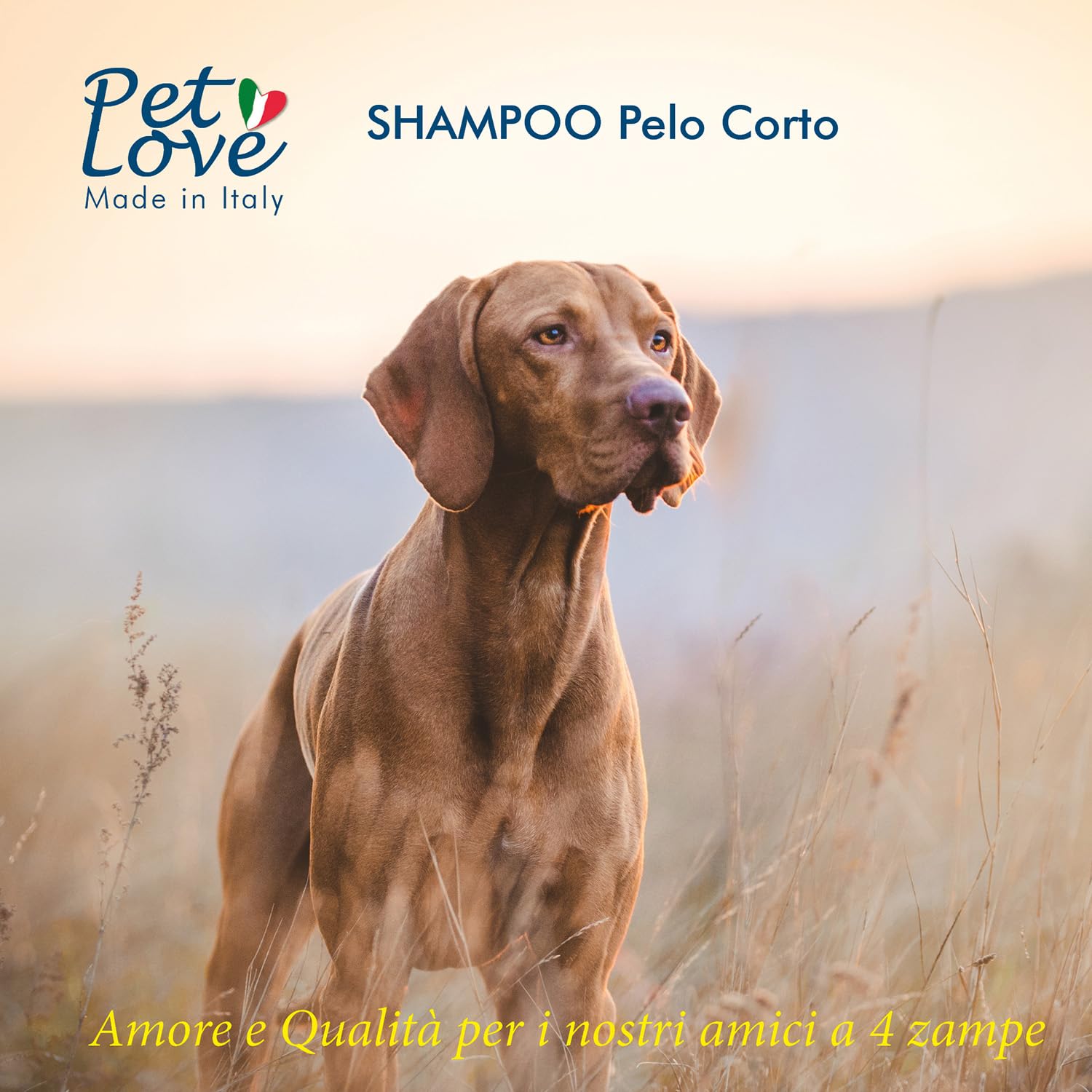 Pet Love | Shampoo Professionale per Cani a Manto Corto – Azione Detergente e Igienizzante –Senza Profumo e Coloranti - 250 ml