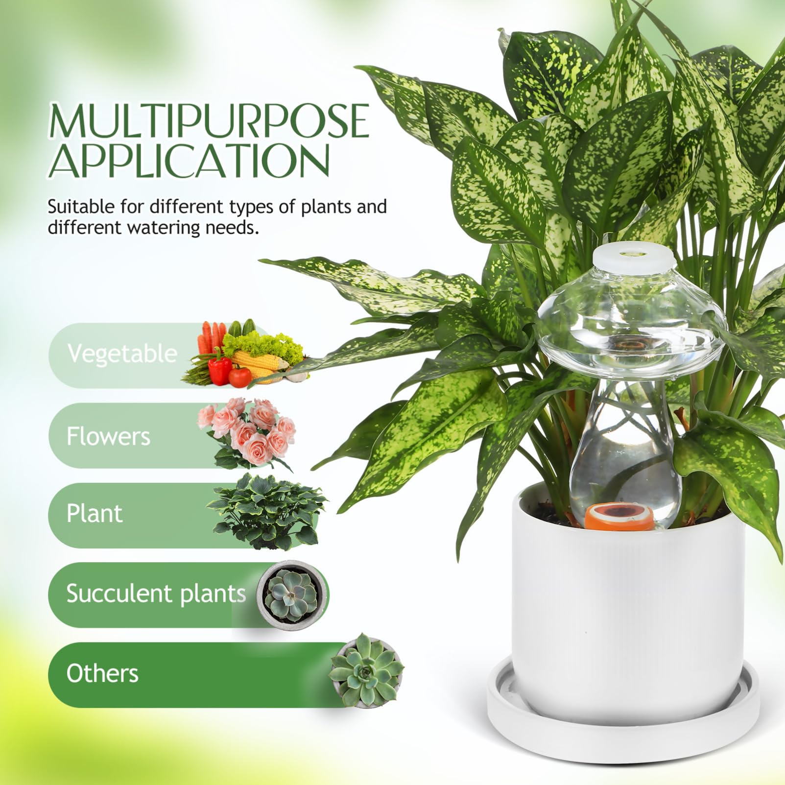 Kisangel Globes D'arrosage pour Plantes À Champignons 6 Pièces Pointes D'arrosage pour Plantes 300 ML Pointes D'arrosage Automatique pour Champignons Ampoule D'arrosage pour Plantes