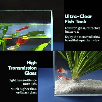 Amazon.com : LAQUAL 6.5 Gallon Ultra Clear Glass Fish Tank