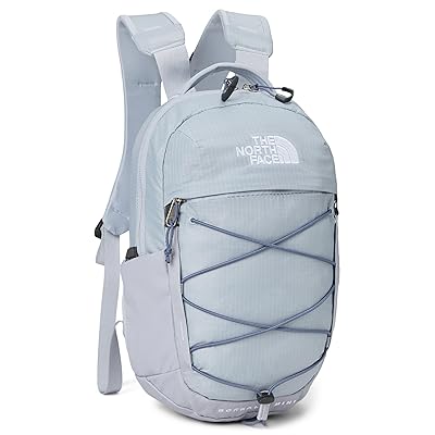 The North Face Borealis Mini Backpack Backpack Bags Blue Flax/Twilight Galaxy, Nylon