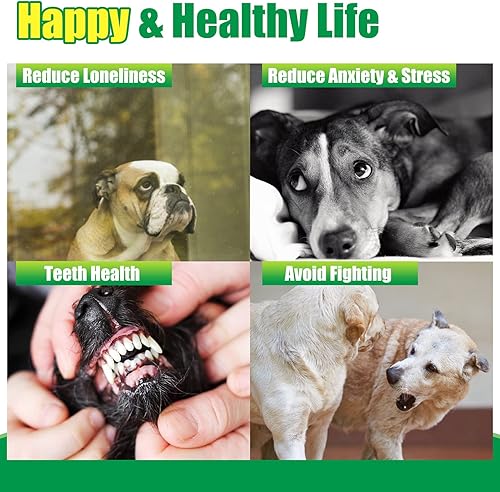 Miniatura 7 de EXPAWLORER Pelotas de tenis chirriantes para perros, paquete de 12 pelotas de perro de alta elasticidad para masticadores agresivos, juguetes