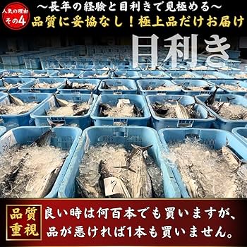 Amazon.co.jp: 池澤鮮魚 土佐久礼 日戻り 完全藁焼きたたき 高知