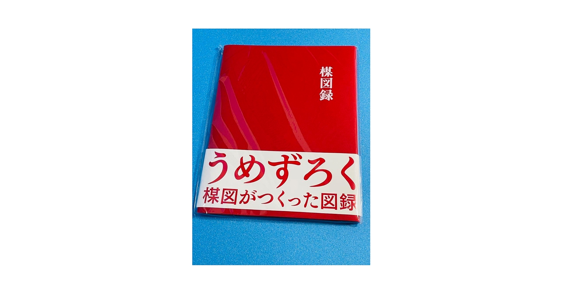 Amazon.co.jp: 楳図かずお うめずろく 図録 VO : ホーム＆キッチン