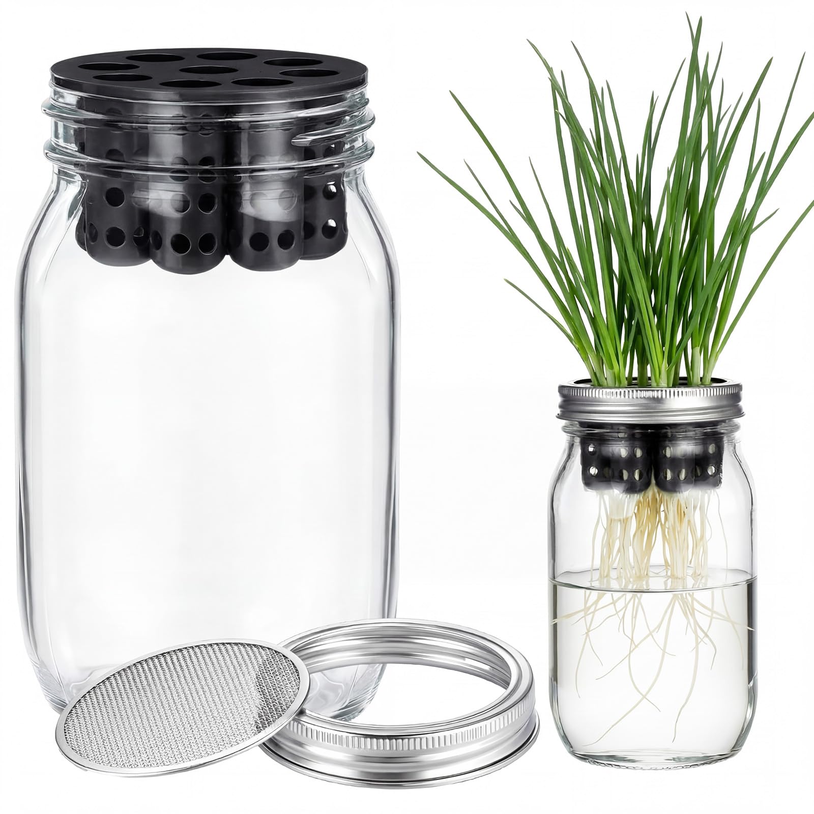 Kit de germination oignons verts en bocal Mason pour brocoli frais