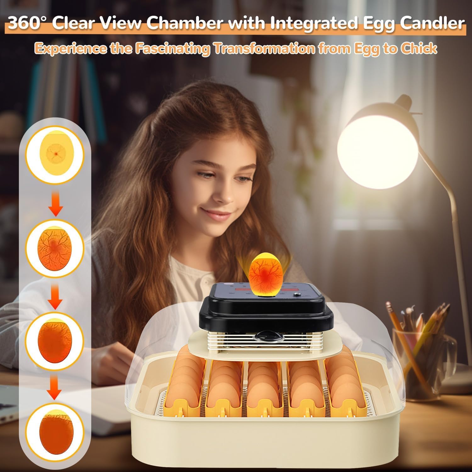 Incubadora de huevos con control de temperatura, giro automático y pantalla LED para incubar huevos de aves de corral
