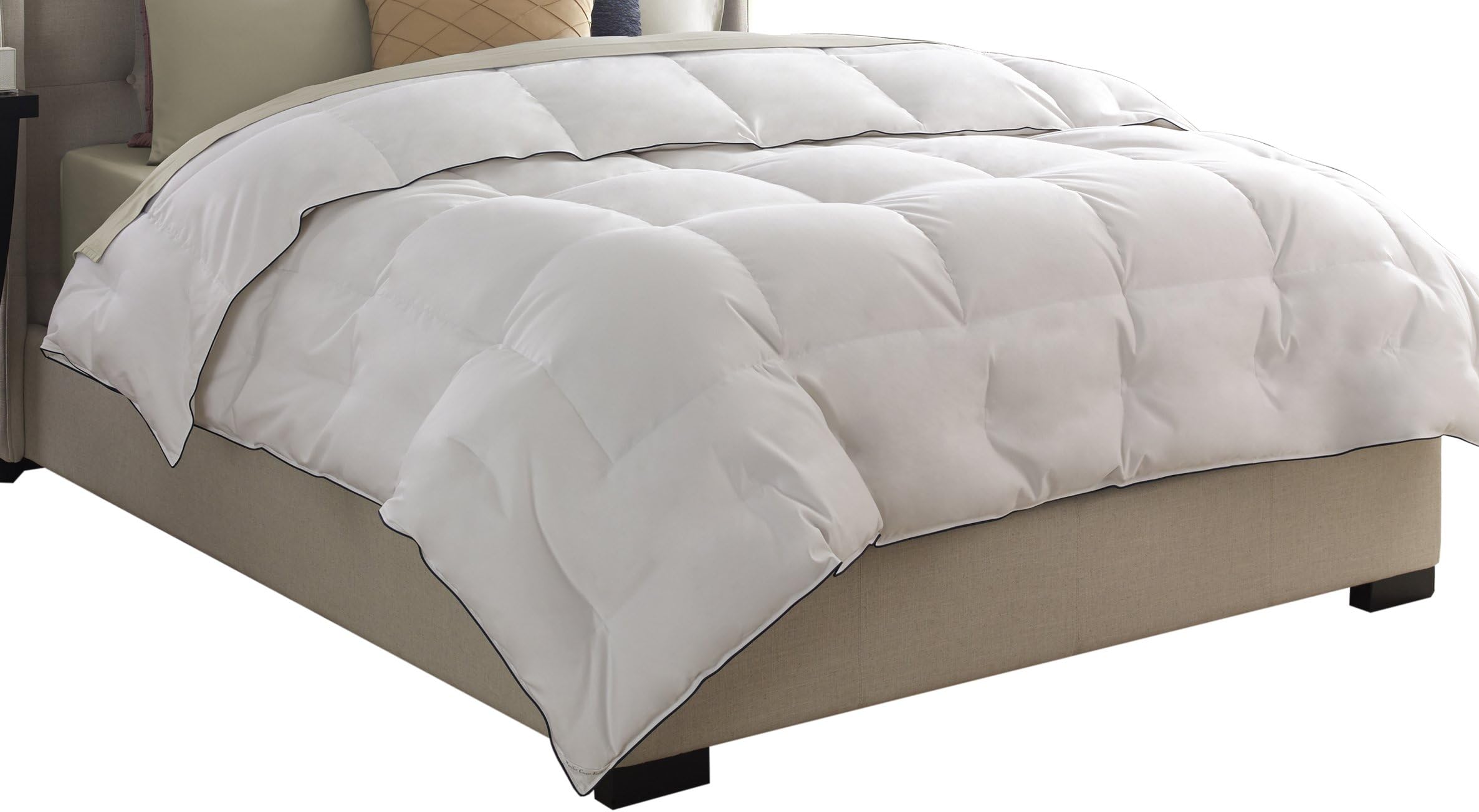 Pacific Coast Feather Company 67902 Medium Warmth Down Comforter, Cotton Cover, Hypoallergenic, Full/Queen