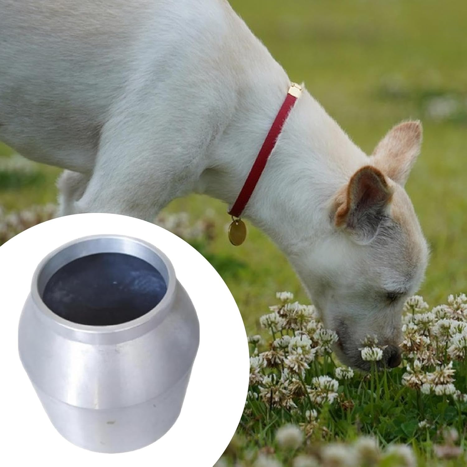 Dog Scent,Scent Work Professional Pet Supply Aluminum Dog Nose Train Container,Smell Training for Home, Pot Dia 11cm