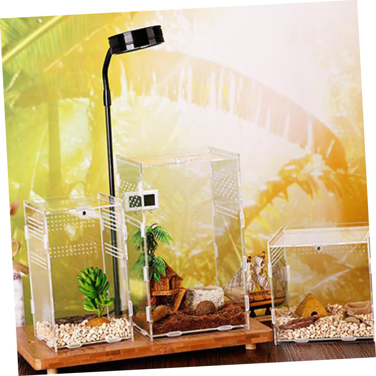 Toyvian Caja de Cría para Reptiles y Insectos de Acrílico Transparente Orificios Ventilados, Tapa Extraíble y Fácil Limpieza, Adecuado para Terrario Doméstico y Cría, Arañas o Isópodos