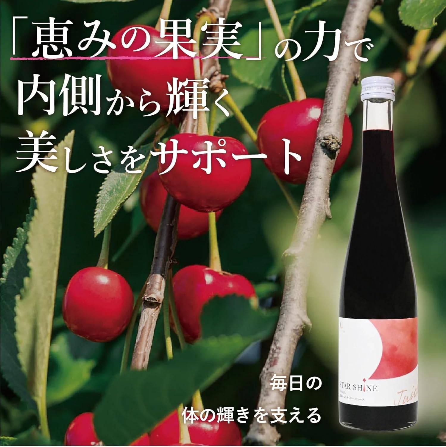 Amazon.co.jp: 濃縮タルトチェリー 500ml瓶(3倍濃縮タイプ) 乳酸菌入り