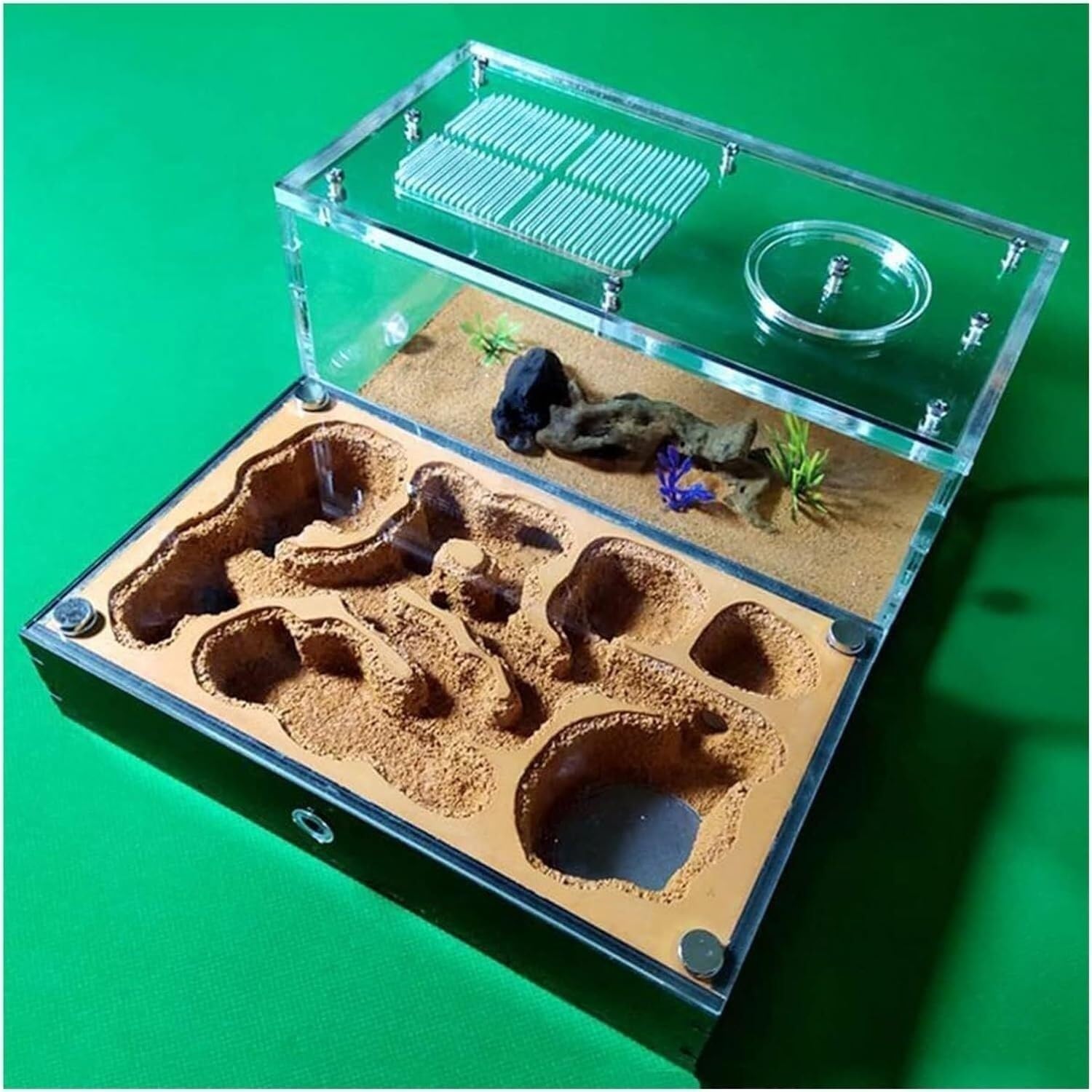 Ant Nest Granja De Hormigas, Hormiguero para Granja De Hormigas, Estudio del Comportamiento De Las Hormigas, Nido De Hormigas, Terrario, Formicario Educativo Granja Hormigas