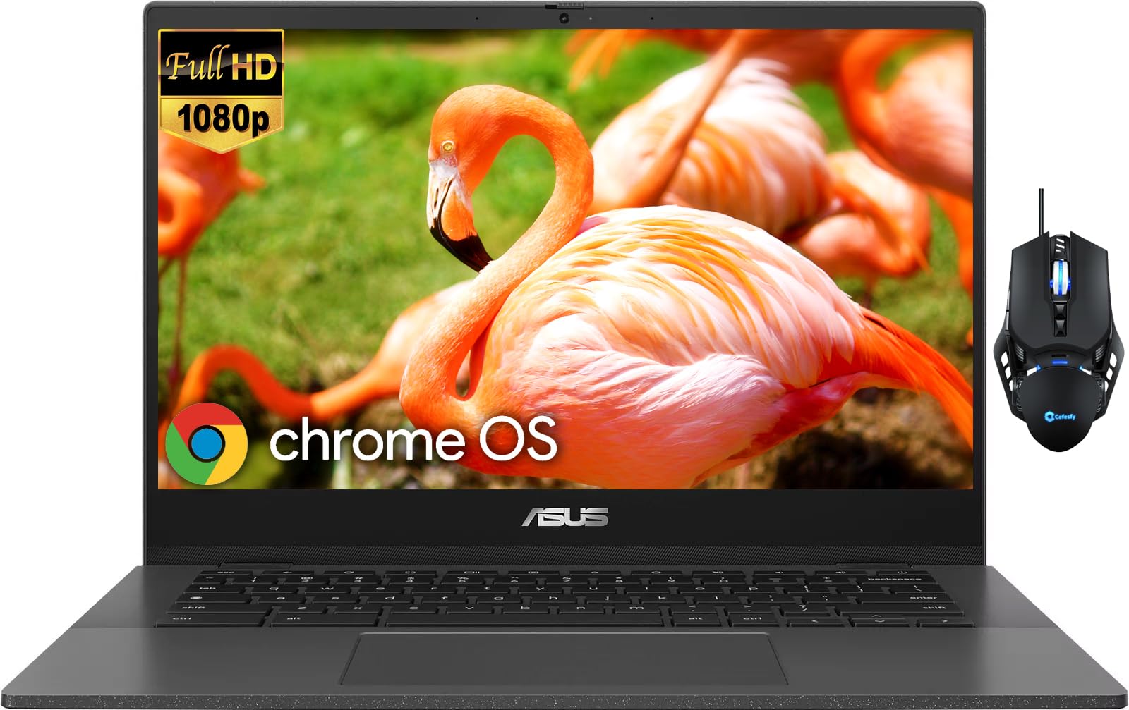Amazon.com: ASUS Newest Chromebook CM1402 14
