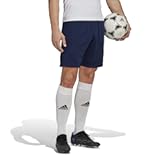 Mens Entrada 22 Training ShortsShorts