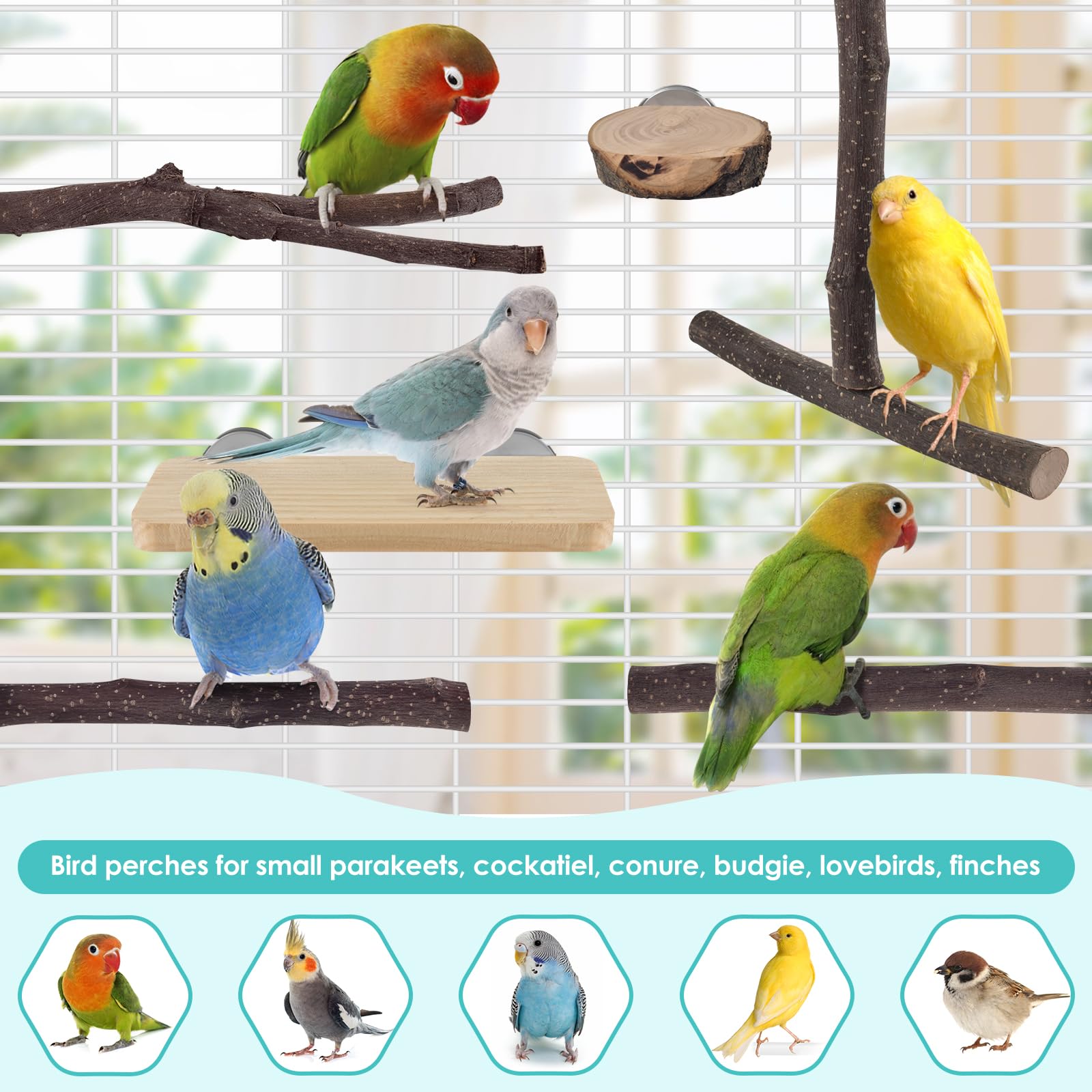 DBNESS Bird Perches, 6 Pcs Natural Wood Parrot Perch Stand Chew Toys, Hanging Multi-Branch Parrot Perch Platform Swing Toy Cage Accessories for Small Parakeets, Budgies, Lovebirds, Canaries, Finches - image 7