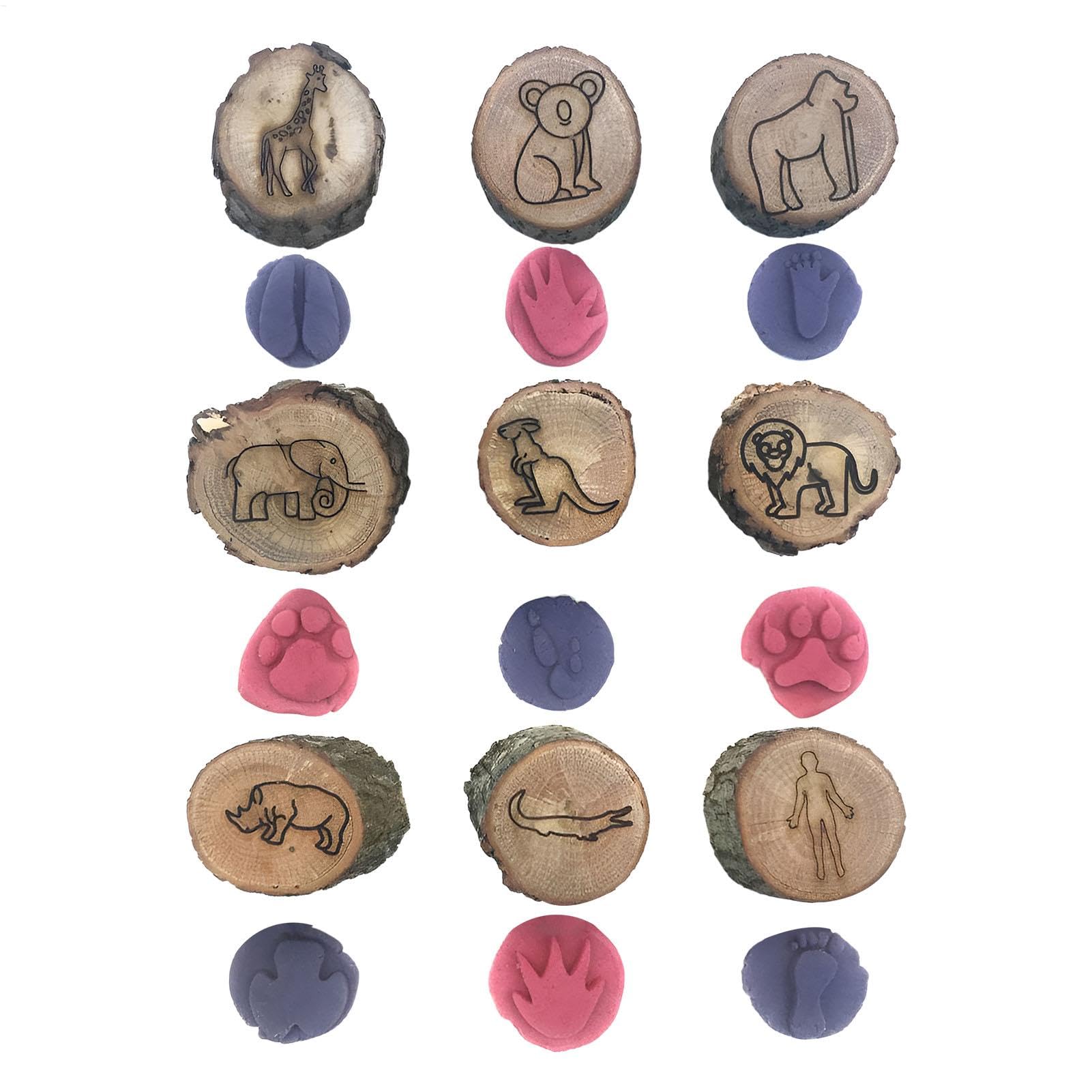 Animal Tracks Stamps - Small Unique Wood Animal Tracks Stampers | Creative Animal Track Stamps for Kids | Animal Paw Stamp | Footprint Stamp | Small Decorative Stamp