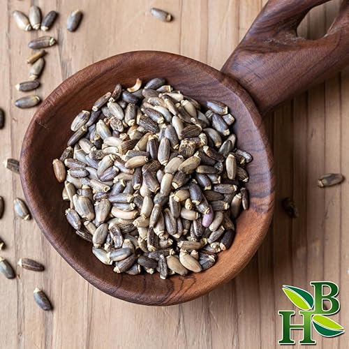 Miniatura 3 de Polvo de semillas de cardo mariano  Silybum Marianum  Wildcrafted  4oz