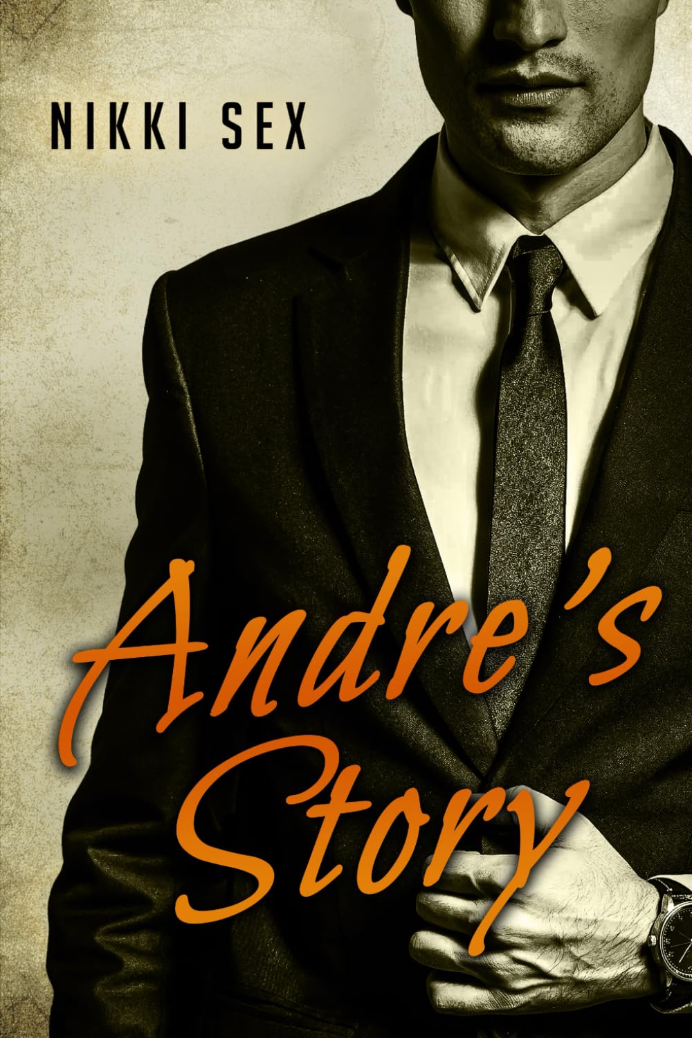 Andre's Story (Andre Chevalier Contemporary Romance)
