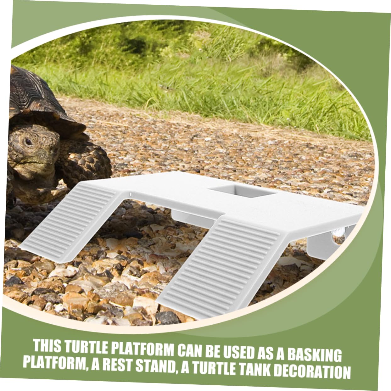 Penn-Plax Molo Galleggiante Per Tartarughe - Piattaforma Per Crogiolarsi, Misura L - Foto 3