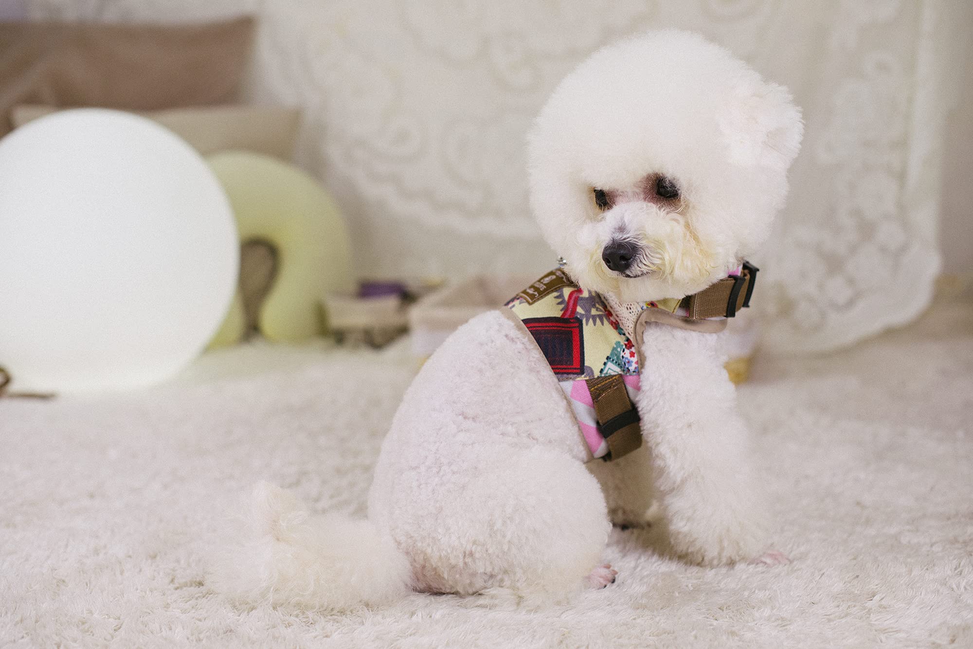 A+a Pets Retro Vest Style Combo of Harness & Leash Set, No Pull, No Escape, Breathable, Cute Soft Prints for Puppies, Small Dogs, Cats (London Dreams, Beige, X-Large) (B09CMHN2GM) Amazon Price History, Amazon Price Tracker