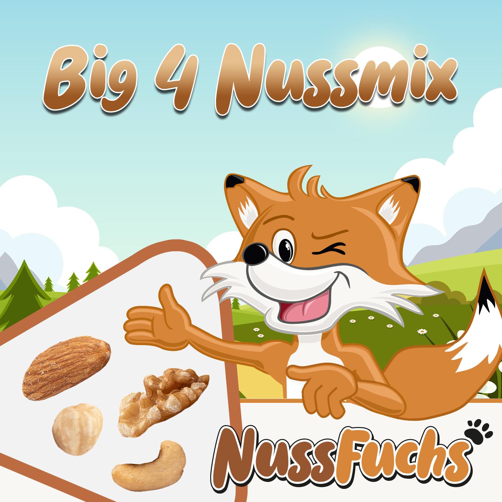 Nussmischung Big 4 Mix 1kg-3kg - Nuss Mix aus 4 Nusssorten - Cashew geröstet & gesalzen - Mandeln mit Haut - Walnusskerne ohne Schale - Haselnusskerne geröstet & ohne Haut - (3kg Behälter)