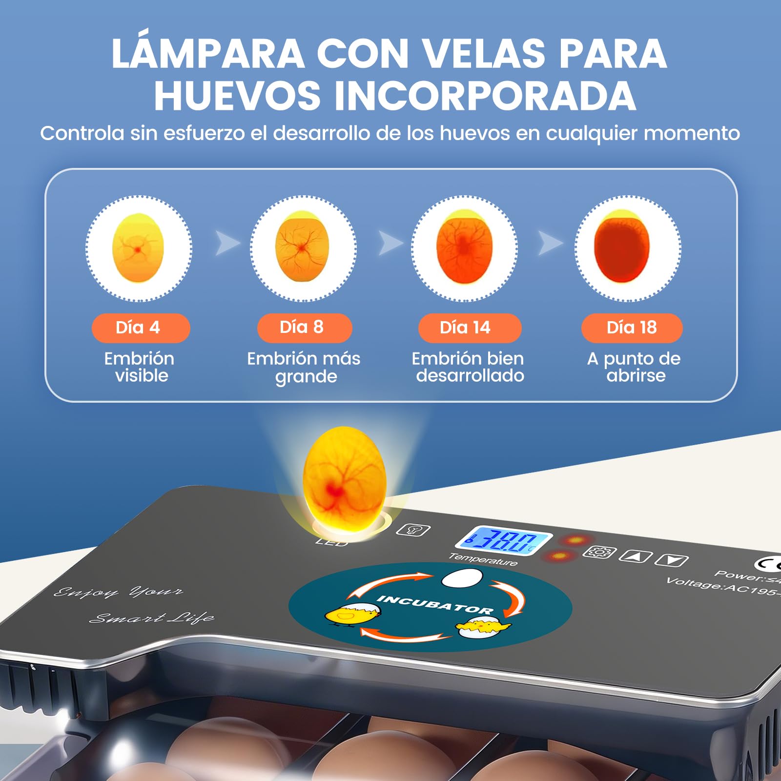 Incubadora de Huevos Automática, Criadora de 12 Huevos con Volteo Automático y Control de Humedad, Incubadoras para Incubar Huevos, Pollos, Patos, Gansos, Codornices, Loros